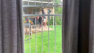 I caught my neighbors fucking outdoor in the backyard